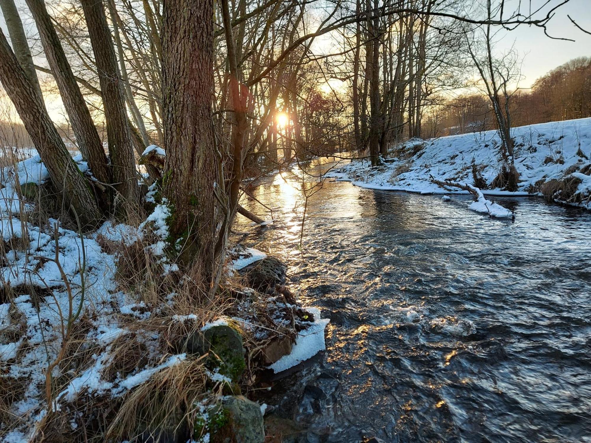 Gaestehaus Hochrhoenblick Schonau an der Brend Екстер'єр фото